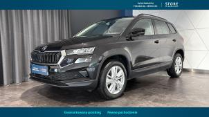 SKODA Karoq 2024