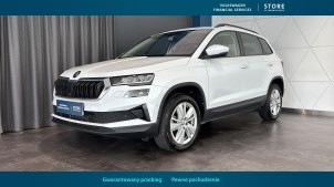 SKODA Karoq 2024