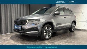 SKODA Karoq 2022